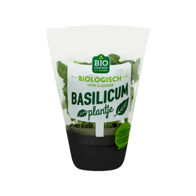 Huismerk Basilicum Plantje