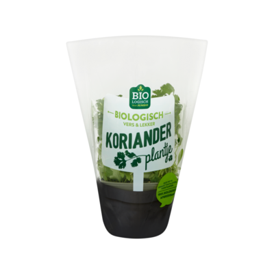 Huismerk Biologisch Koriander Plantje