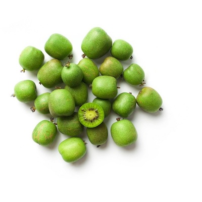 Kiwibes